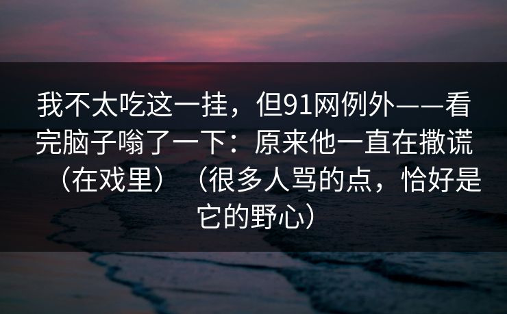 我不太吃这一挂，但91网例外——看完脑子嗡了一下：原来他一直在撒谎（在戏里）（很多人骂的点，恰好是它的野心）
