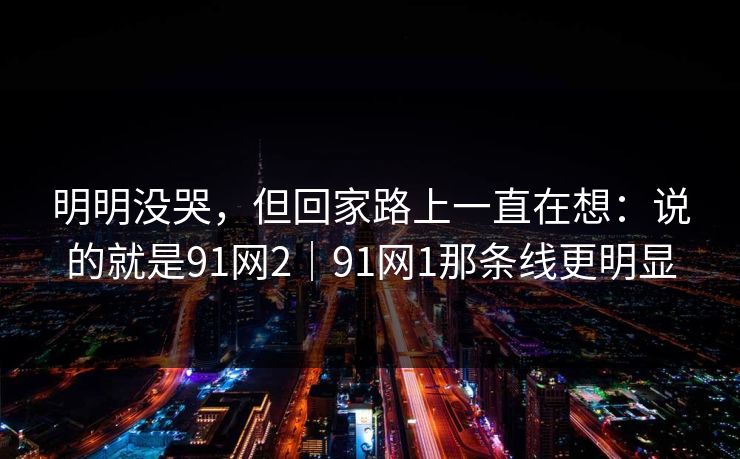 明明没哭，但回家路上一直在想：说的就是91网2｜91网1那条线更明显