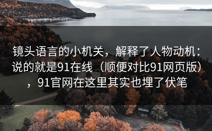 镜头语言的小机关，解释了人物动机：说的就是91在线（顺便对比91网页版），91官网在这里其实也埋了伏笔