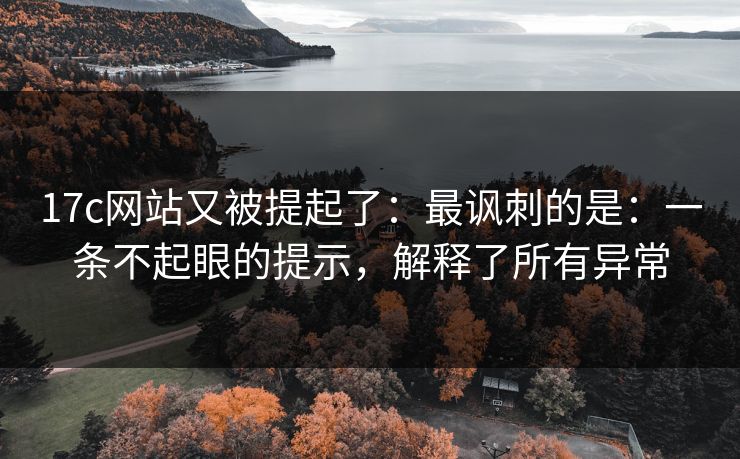 17c网站又被提起了:最讽刺的是:一条不起眼的提示,解释了所有异常
