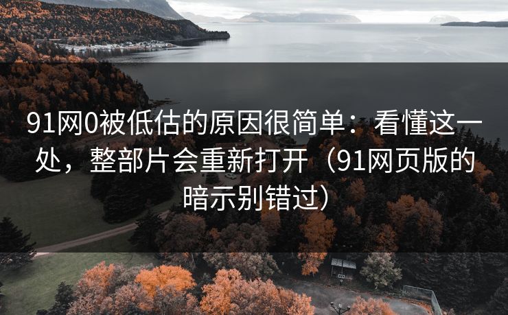 91网0被低估的原因很简单：看懂这一处，整部片会重新打开（91网页版的暗示别错过）