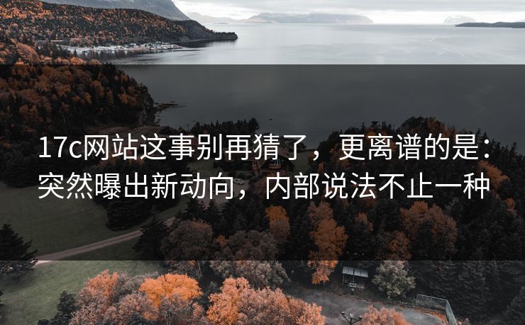 17c网站这事别再猜了,更离谱的是:突然曝出新动向,内部说法不止一种