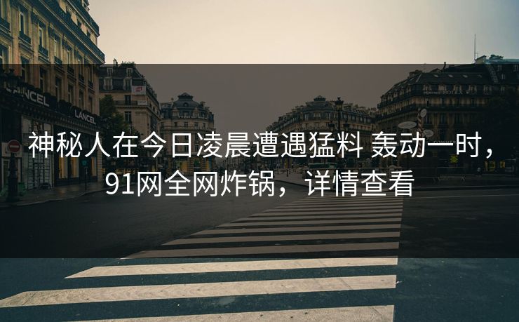 神秘人在今日凌晨遭遇猛料 轰动一时，91网全网炸锅，详情查看
